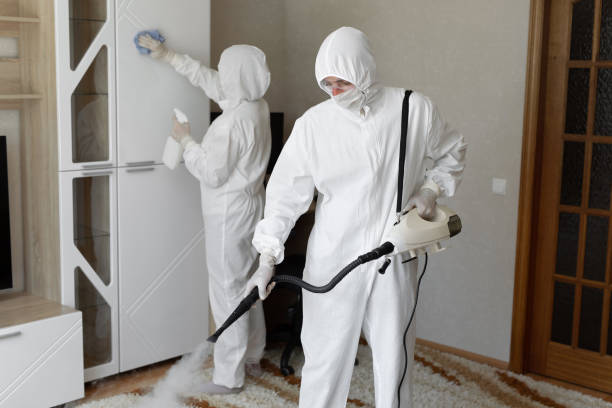 Affordable Sewage Cleanup solutions in Pewamo, MI